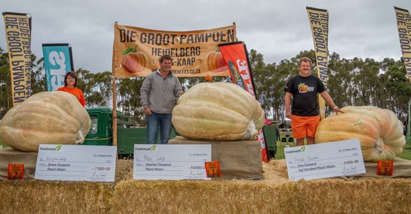 The 8th annual Giant Pumpkin Festival in Heidelberg (2018)